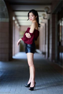与狼共舞电视剧40集